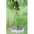 Insect glass bird feeder